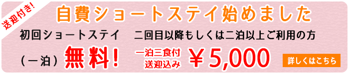 老人ホームショートステイ