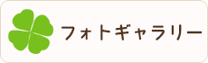 フォトギャラリー